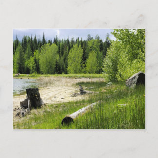 Das Ende des Sees - Marshallsee Postkarte