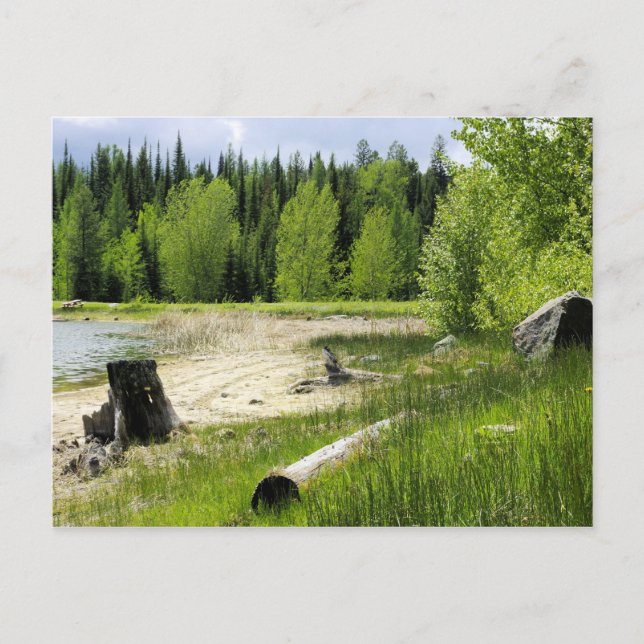 Das Ende des Sees - Marshallsee Postkarte (Vorderseite)