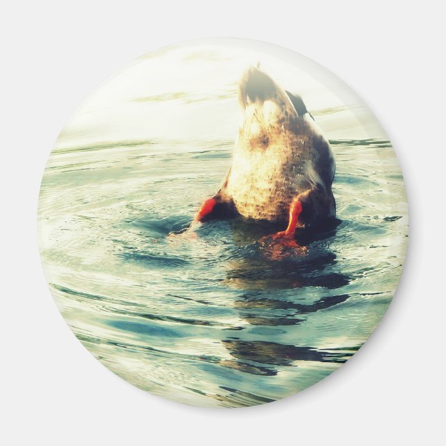 Das Ende! Duck Hintern Magnet (Vorne)