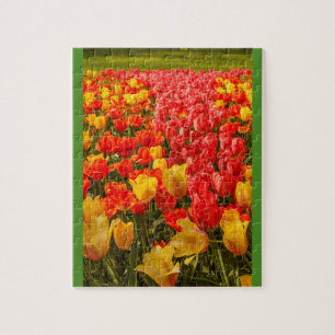 DAS ERBLÜHEN DER TULPEN IN EINEM PARK Fotopuzzle