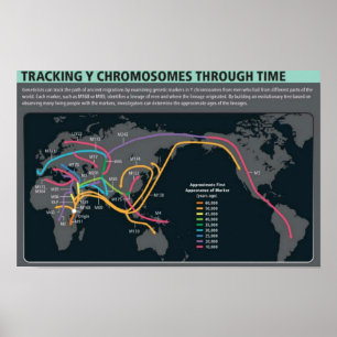 Das erste Migrationspopster Poster