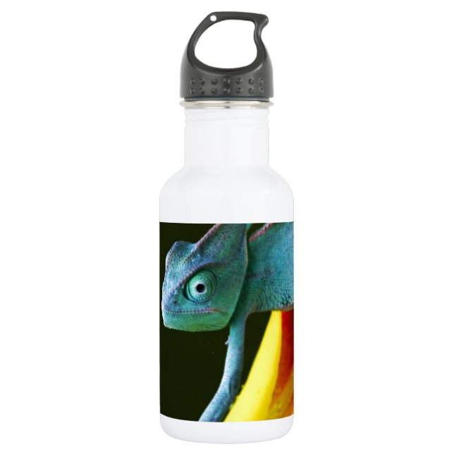 Das fantastische Chamäleon Trinkflasche (Vorderseite)