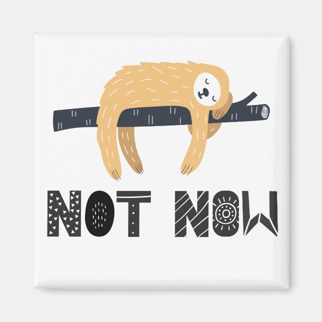 Das Faultier nicht belästigen Magnet (Vorne)