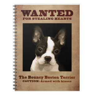 Das federnd Boston Terrier Notizblock