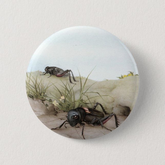 DAS FELDGRILLEN BUTTON (Vorderseite)