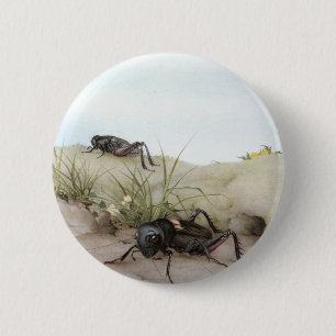 DAS FELDGRILLEN BUTTON