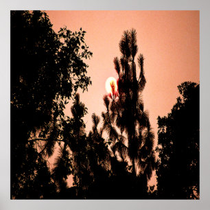 Das Feuer im Indischen Tal....... Poster