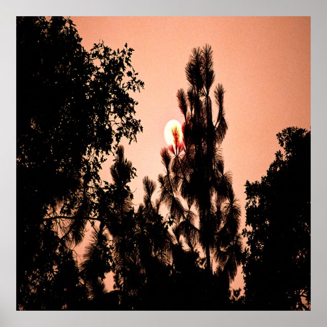 Das Feuer im Indischen Tal....... Poster (Vorne)