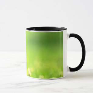 das Fliegenkätzchen Tasse