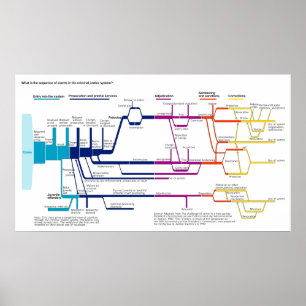 Das Flowchart des amerikanischen Strafjustizsystem Poster