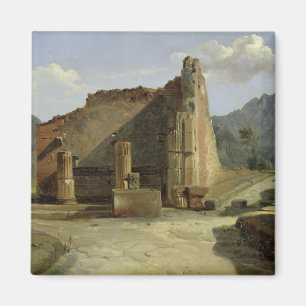 Das Forum von Pompeji Magnet