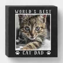 Das Foto der besten Katze der Welt Schwarz-weiß