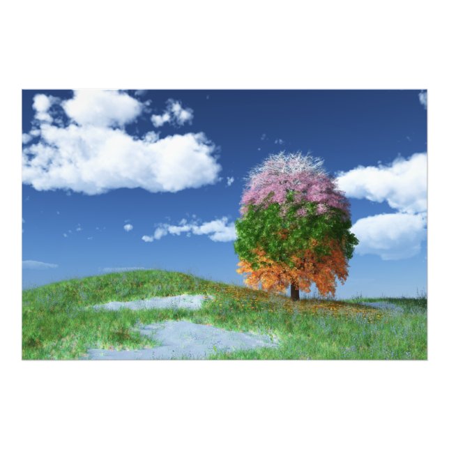 Das Foto der Jahreszeit (Vorne)