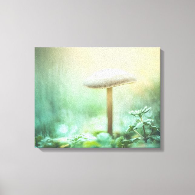 Das Foto der magischen Natur Leinwanddruck (Vorderseite)