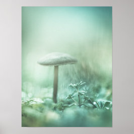 Das Foto der magischen Natur Poster