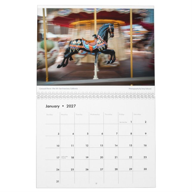 Das Foto-Kalender 2014 des Amys (alt) Kalender (Jan 2027)