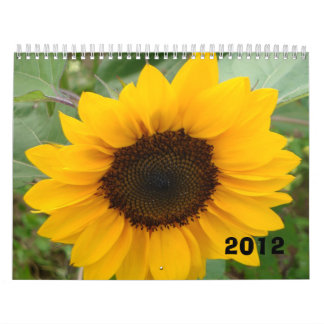 Das Fräulein Molly Photography Calendar Kalender