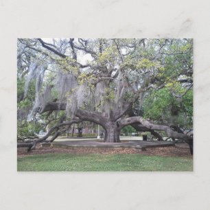 Das Freundschaftshaus 2 Postkarte