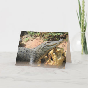 Das Gator-Kissen - Klappkarte Feiertagskarte