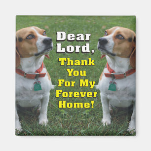 Das Gebet des Beagles Magnet