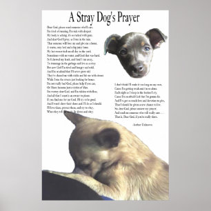 Das Gebet eines Stray Hundes (alternative Hintergr Poster