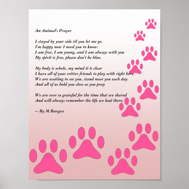 Das Gebet eines Tieres - rosa Paws - Poster (Vorne)