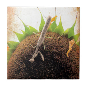 Das Gebet um Sonnenschein Fliese