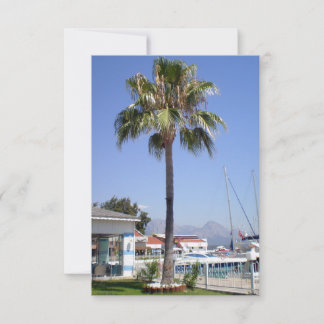 Das Gebiet des Yachtclubs Kemer mit Palmen