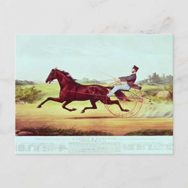 Das gefeierte Pferd, George M. Patchen Postkarte (Vorderseite)