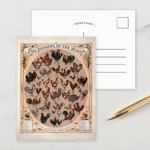 Das Geflügel der Vintagen Hühnerzucht der Welt Postkarte