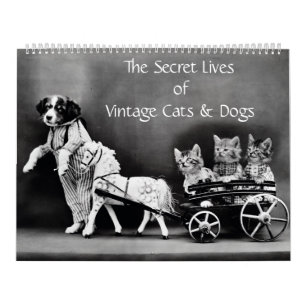 Das geheime Leben Vintager Katzen und Hunde Kalender