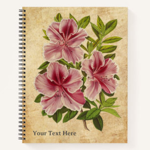 Das geheime Notebook des Azalea Notizbuch