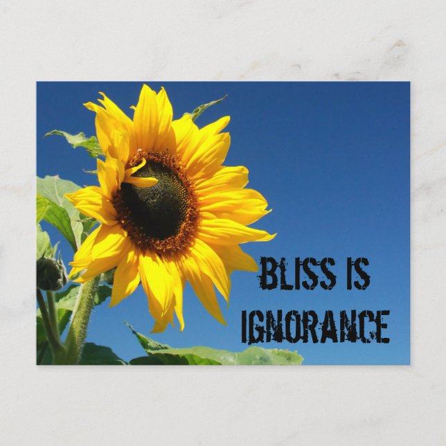 Das Geheimnis des Glücks ist völlige Ignoranz Postkarte (Vorderseite)