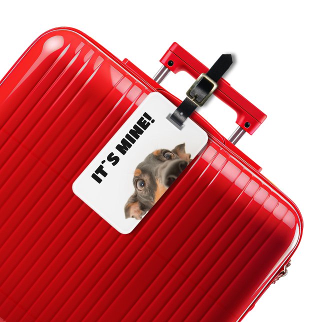 Das gehört mir! Hundebiss-Foto Gepäckanhänger (Von Creator hochgeladen)