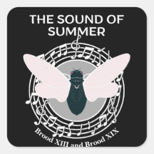 Das Geräusch des Sommers Cicada Brood