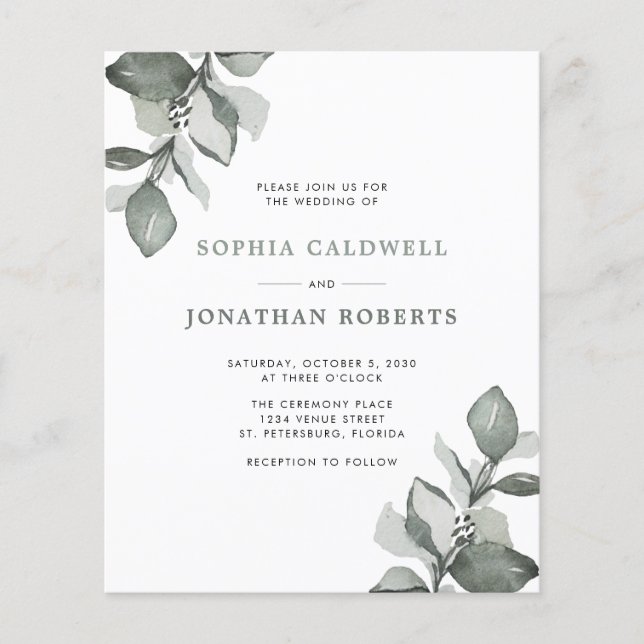 Das gesamte Budget für eine dusty grüne Eukalyptus (Vorderseite)