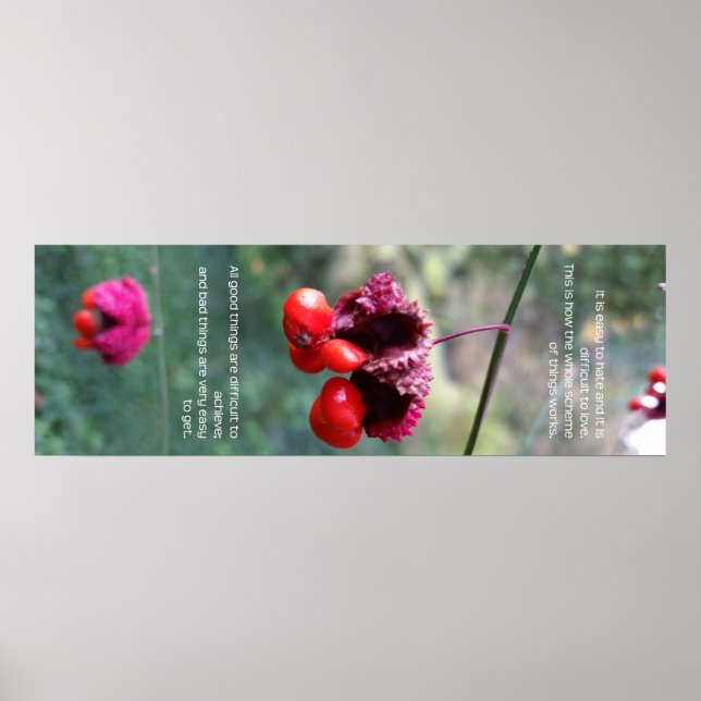 Das gesamte Schema der Dinge Poster (Vorne)