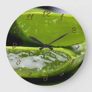 Das Geschäft des Herbalists Große Wanduhr