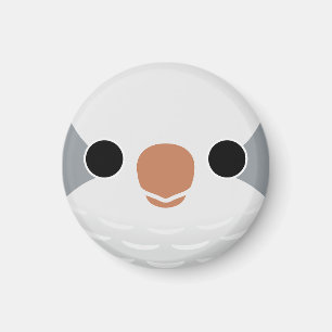 Das Gesicht eines grauen Monk Parakeet Magnet