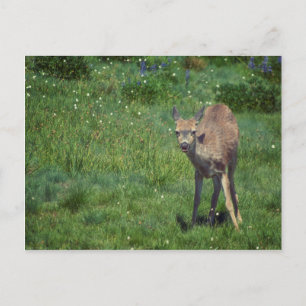 Das Gesicht Postkarte