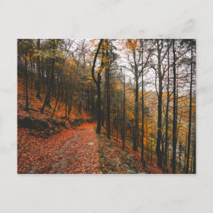 DAS GLEN DES DEVILLS, DIE BERGE DES WICKLOW, IRLAN POSTKARTE