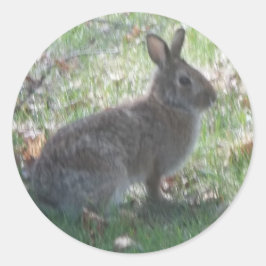 Das glückliche Kaninchen Runder Aufkleber