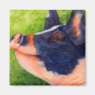 Das glückliche Schwein - Schwein-Magnet Magnet