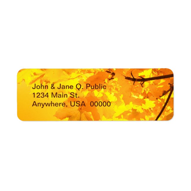 Das Gold des Herbstes (Vorne)
