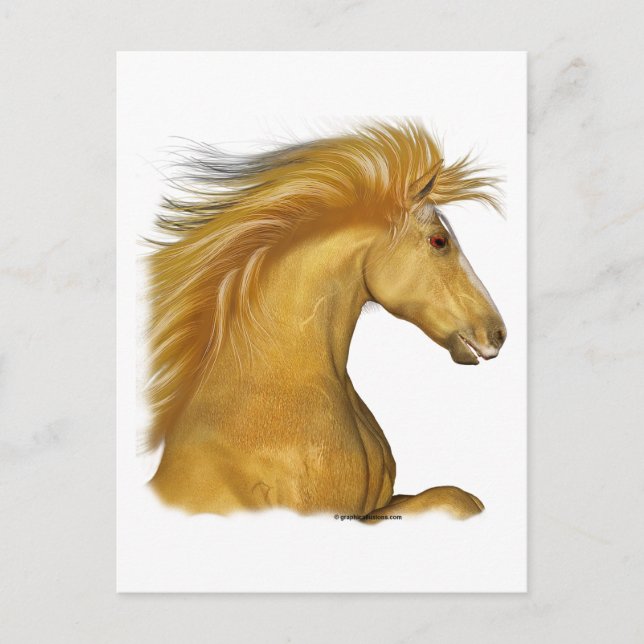 Das Golden Palomino Postkarte (Vorderseite)