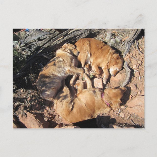 Das goldene Dreieck Postkarte (Vorderseite)