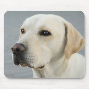 Das goldene Labrador Mousepad
