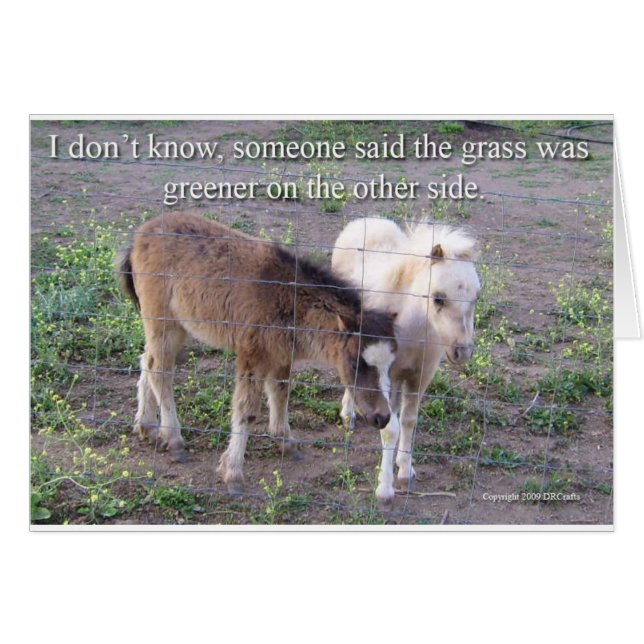 Das Gras ist grüner (Vorderseite (Horizontal))