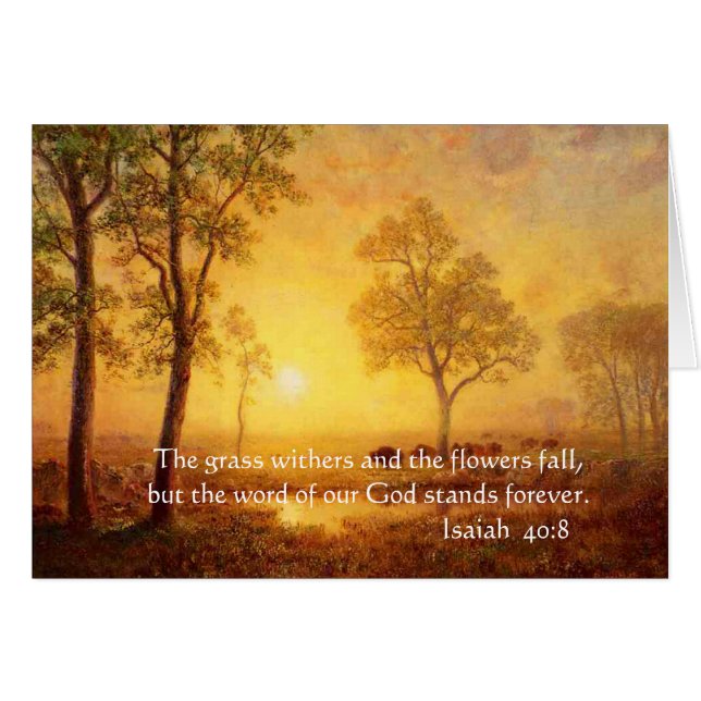 Das Gras steht hinter... (Vorderseite (Horizontal))