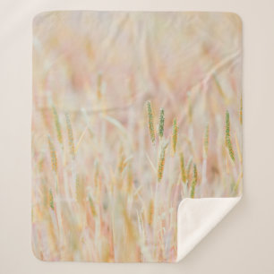 DAS GRASSLAND WURDE VON IHM IN PASTEL-FARBE UMGESE SHERPADECKE